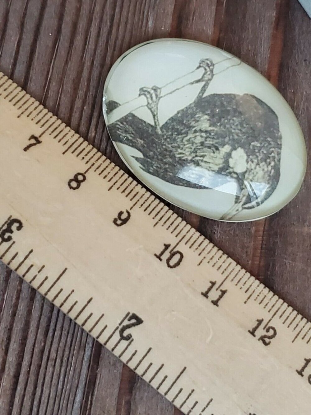 Edgar Allan Poe The Raven Victorian Gothic Bird Glass Oval Cabochon 40x30mm - Picture 8 of 10